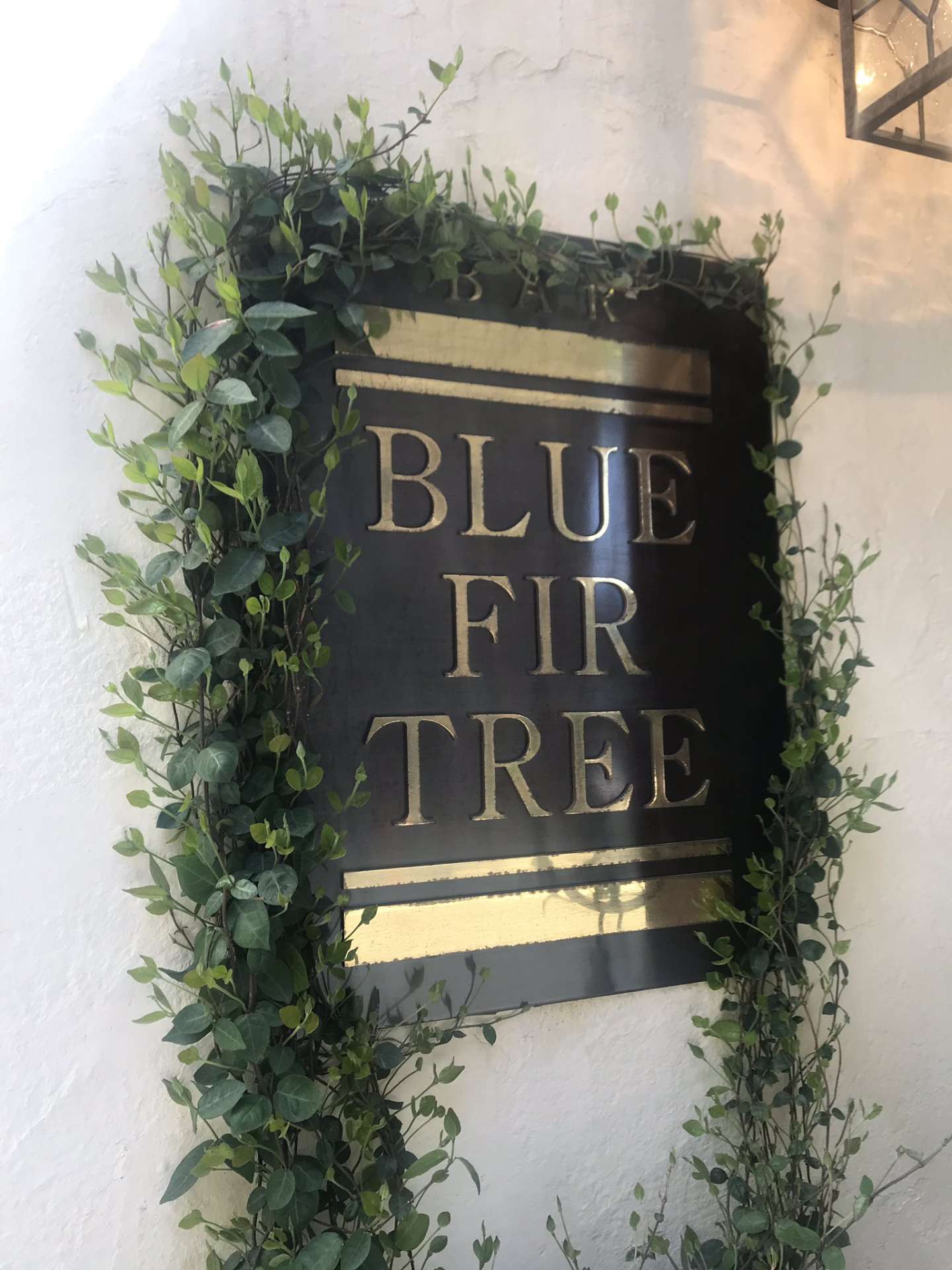 BLUE FIR TREE